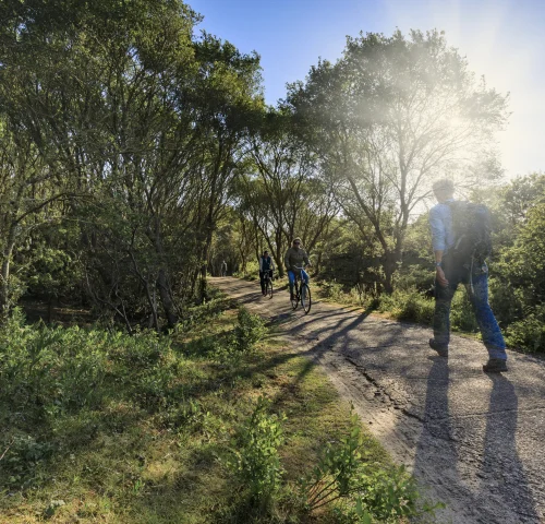 Wandelen Westduinpark Den Haag